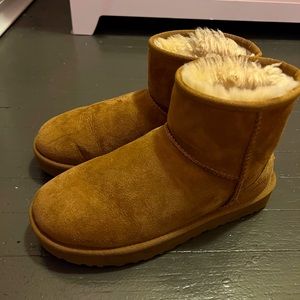 Low top Ugg boots